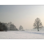 Havířovská zimní krajina (3)