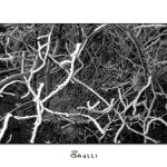 <b>... bludiště ...</b><br>