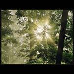 ...SVÍTÁNÍ #1...(magická zastavení)