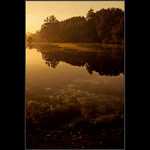 Ani lísteček se nepohnul...