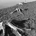 Když opadne voda...