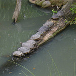 Pusť mě tam taky...