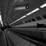 Three ghosts waiting (exit exit...)