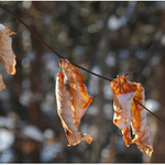 jako při sušení prádla...