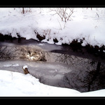 Také se těší na Jaro