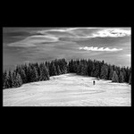 Obloha, stromy, sneh a... clovek