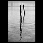 <B><U><I>[: dvaja :]</I></U></B>