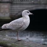 *** Cas na kratku pauzu ***