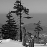 Krkonošská zastavení ...