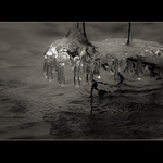 <strong>.:  N e ž á r k a  :.</strong>