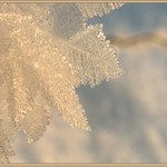 ... vločková namrzlina