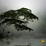   KACHNA ZA ŠPATNÉHO POČASÍ