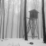 ....MLHA NA BUKOVCI....