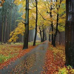 ........Barvy deště........