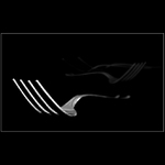 Krása obyčejných věcí