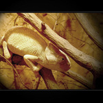 jen aby mě nenašli