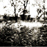 <b> . . . . . . . . .</b>