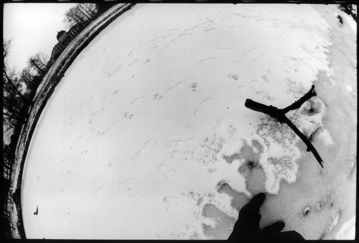 Pohádky z Divného Lesa #0 (All-In-One)