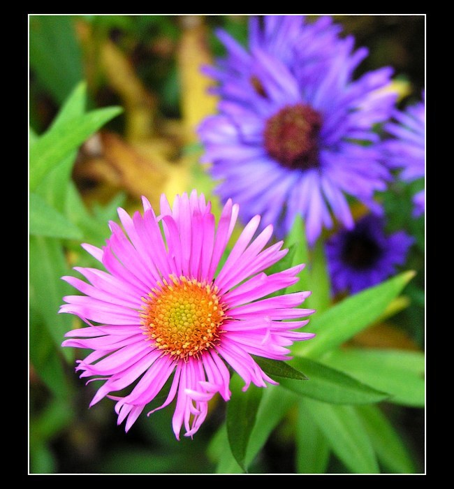 Já už chci jaróóóóóó !!!!