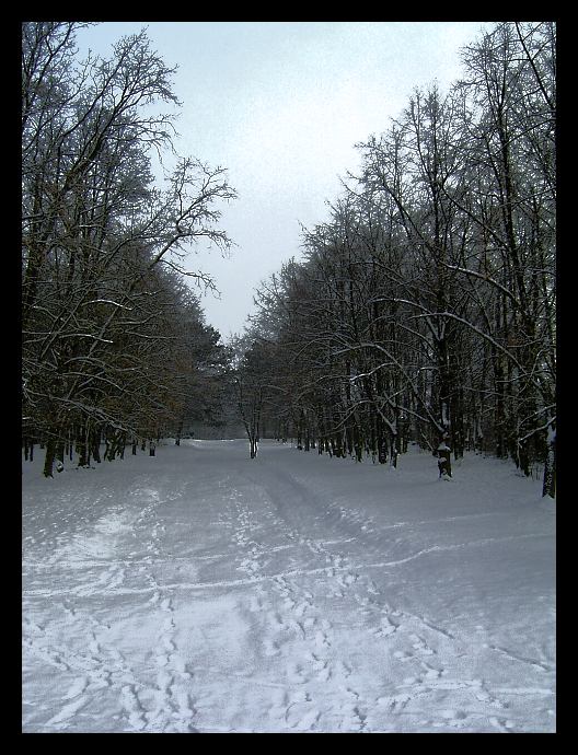 na procházce