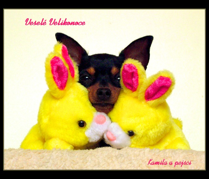 Veselé velikonoce