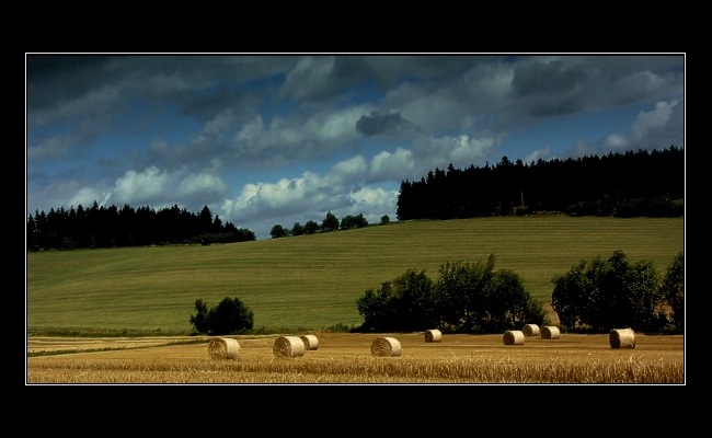 Vysočina