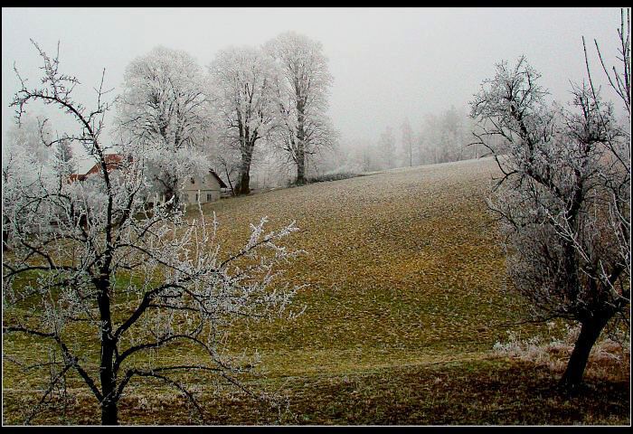 První mrazík :-)