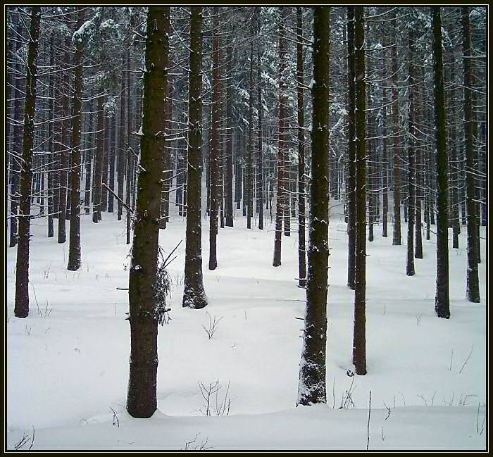 zimní brankoviště