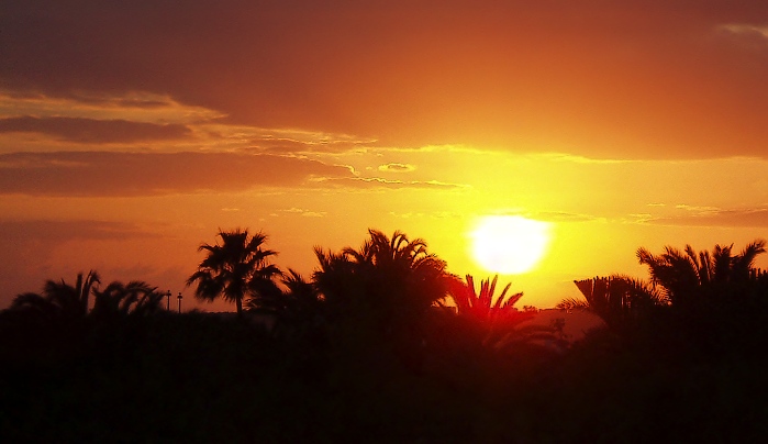 Západ nad palmami