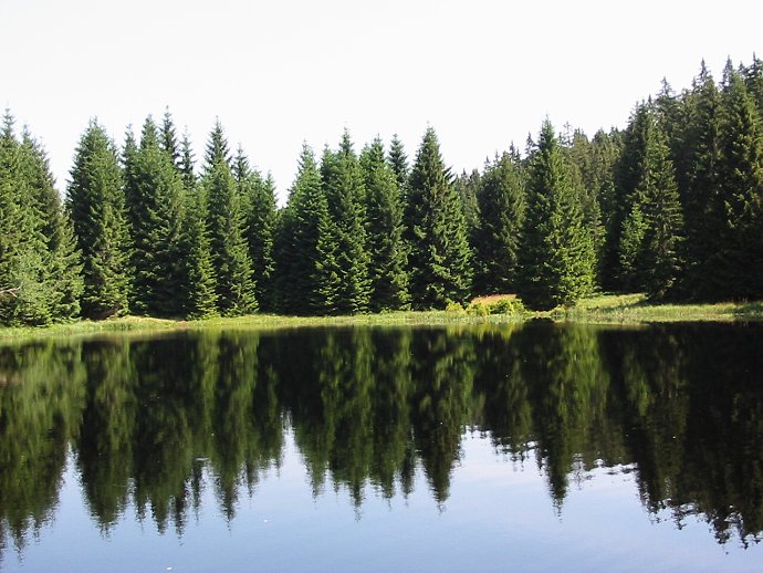 Šumava 2003