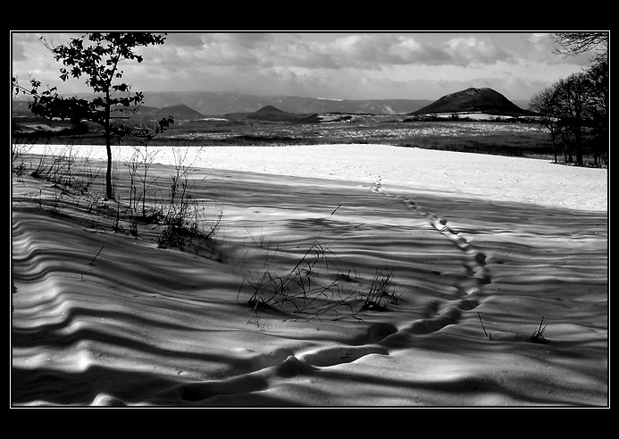 Cesta ze stínů ...