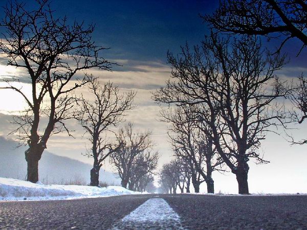 perspektiva mrtvého zajaca