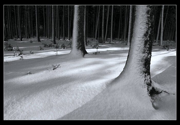 Zima je tu stále***