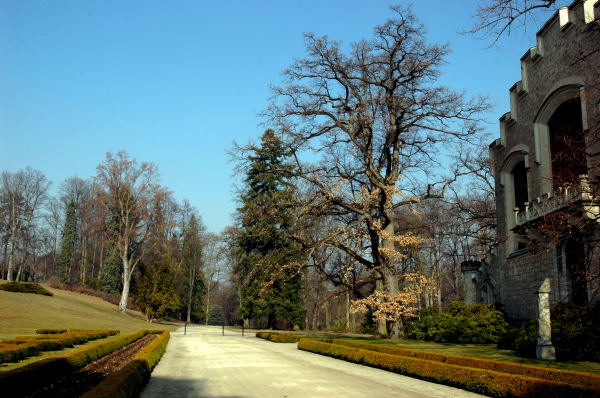 Hluboká