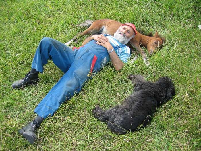 siesta