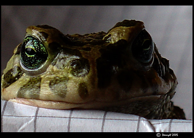 Tak už to cvakni ...