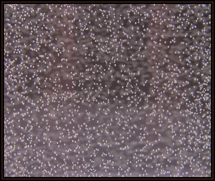 Vesmír ve sklenici vody