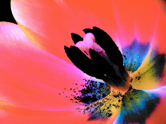 color factory