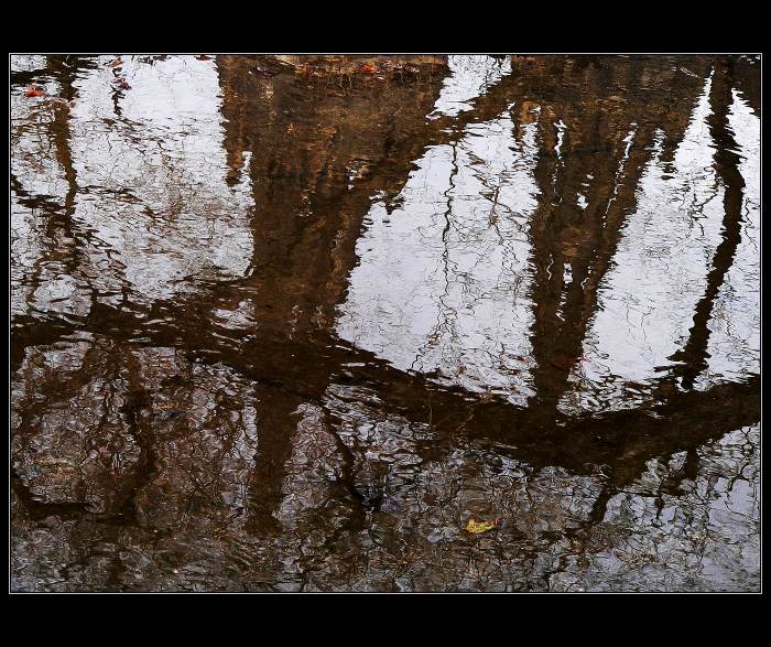 Vyšehradské kaluže