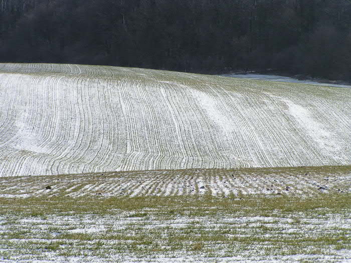 linie v krajině
