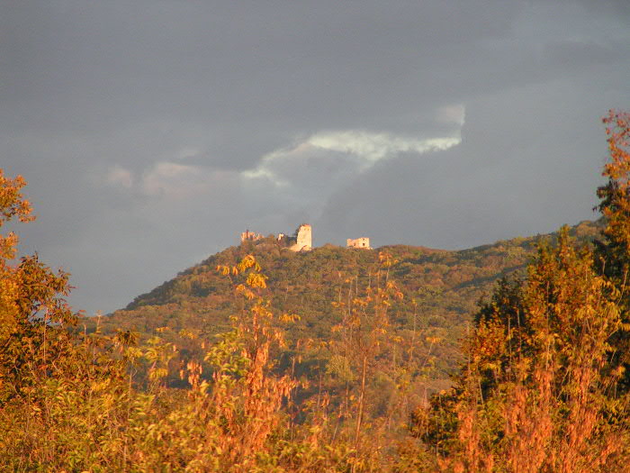 barvy podzimu