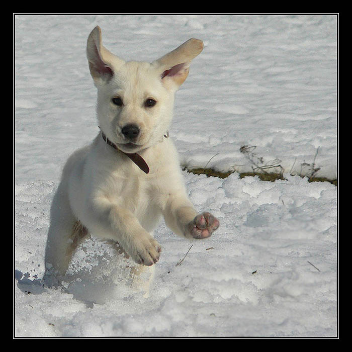 ...HOP...HOP... :-)