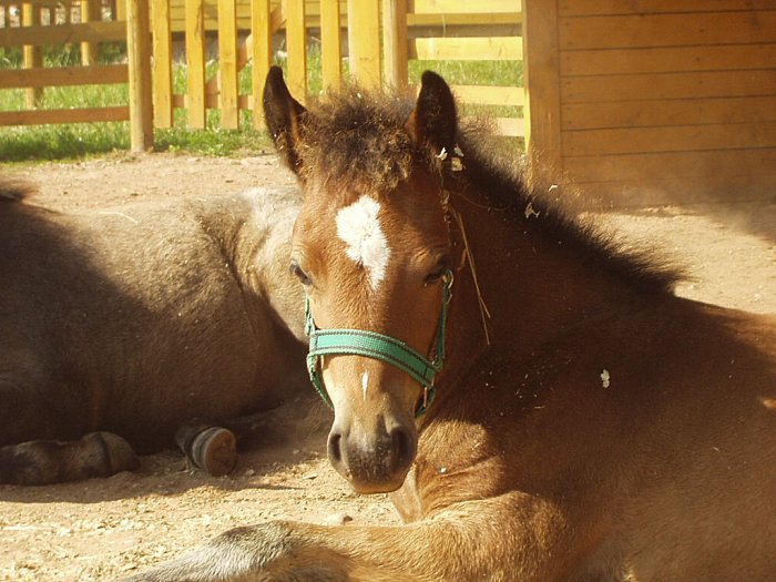 <b> odpočinek v horkém letním dni</b>