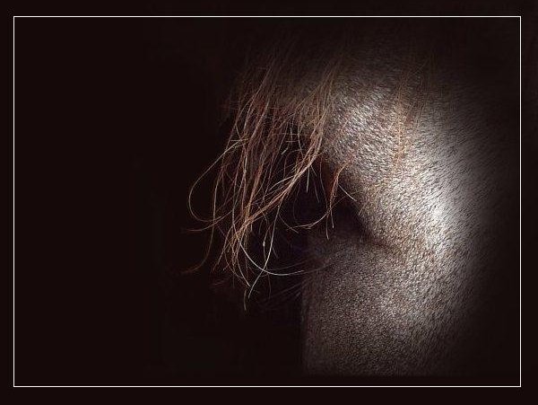 <b> <i>Zamyšlený</i></b>