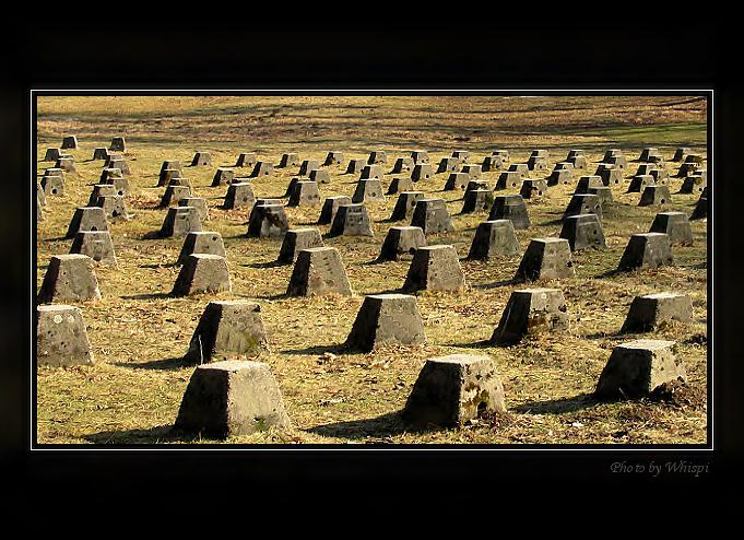 Betonový les (no spíš paseka :-)
