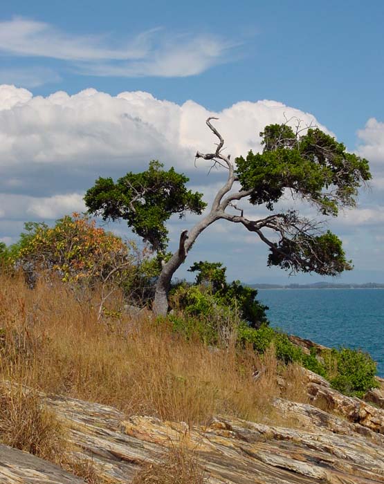 koh samet