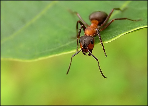 Ty brďo, to je vejška...