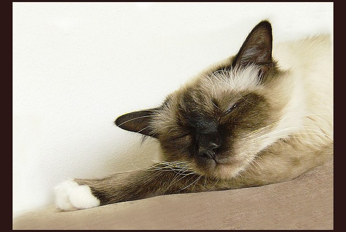 Všechny vás vidím  ...   Julie z Brisbane