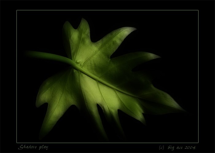 Shadow Play