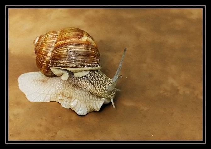 na výletě :-)
